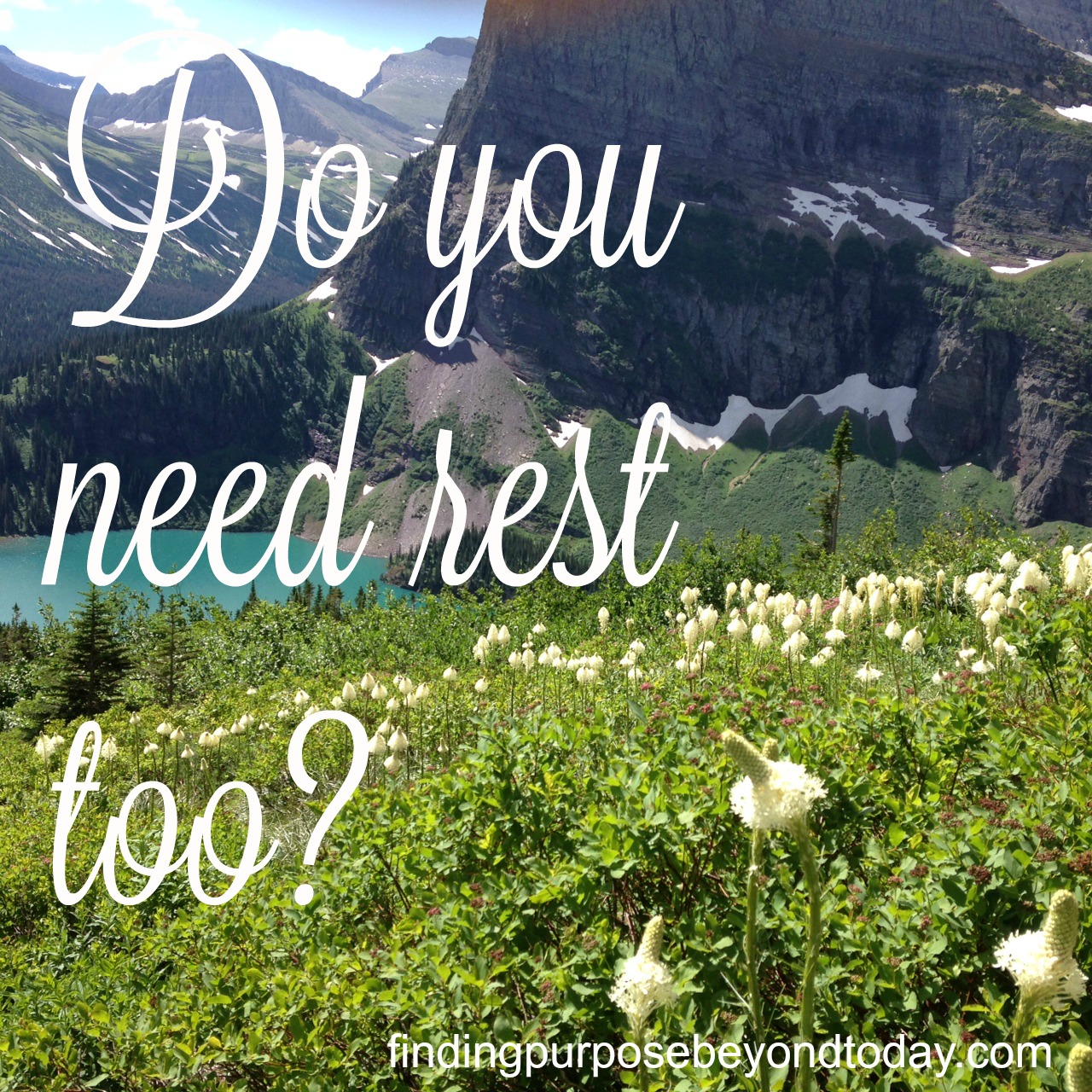 Do You Need Rest Too? – Andy Lee